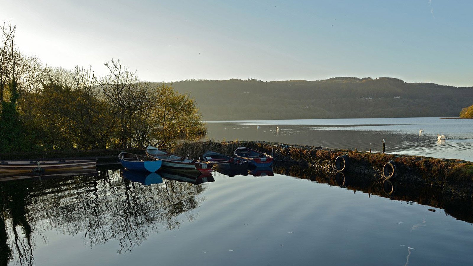 Fishing boats moored on Inchiquin Lough, rural, adventure