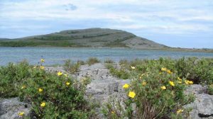 Mullaghmore mountain, Burren landscape, escape to nature