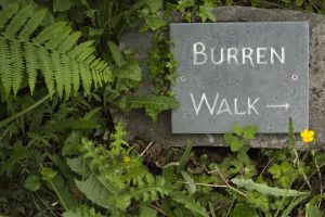 Burren Nature Sanctuary, family fun activity, holiday outdoors, biodiversity