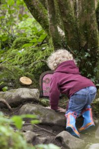 Burren Nature Sanctuary, family fun activity, hazel woods, walks, nature