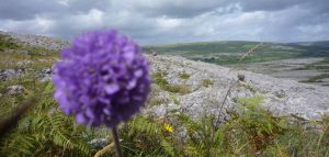 Burren National Park