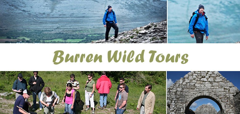burren wild tours