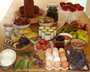 Growing and Harvesting produce in the Burren Seaview House Doolin