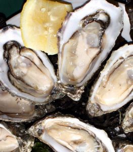 oysters Food Trail Event, Burren, good food