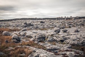 Burren landscape, A walk with Marie, Burren Experience guided walks