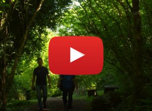 Visit the Burren, explore, Escape