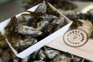 Flaggy shore oysters, artisan food producers in Co.Clare, Wild Atlantic Way