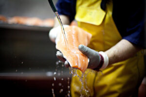 Washing fish, Burren smoked salmon, food holiday