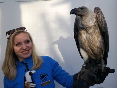 Burren Birds of Prey Centre Galway