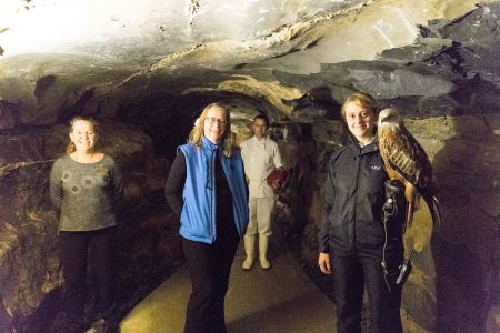 Burren Birds of Prey Centre - All You Need to Know BEFORE You Go (with  Photos)