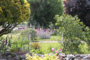 Beautiful Gardens at the Tea and Garden Rooms, nature, reconnect